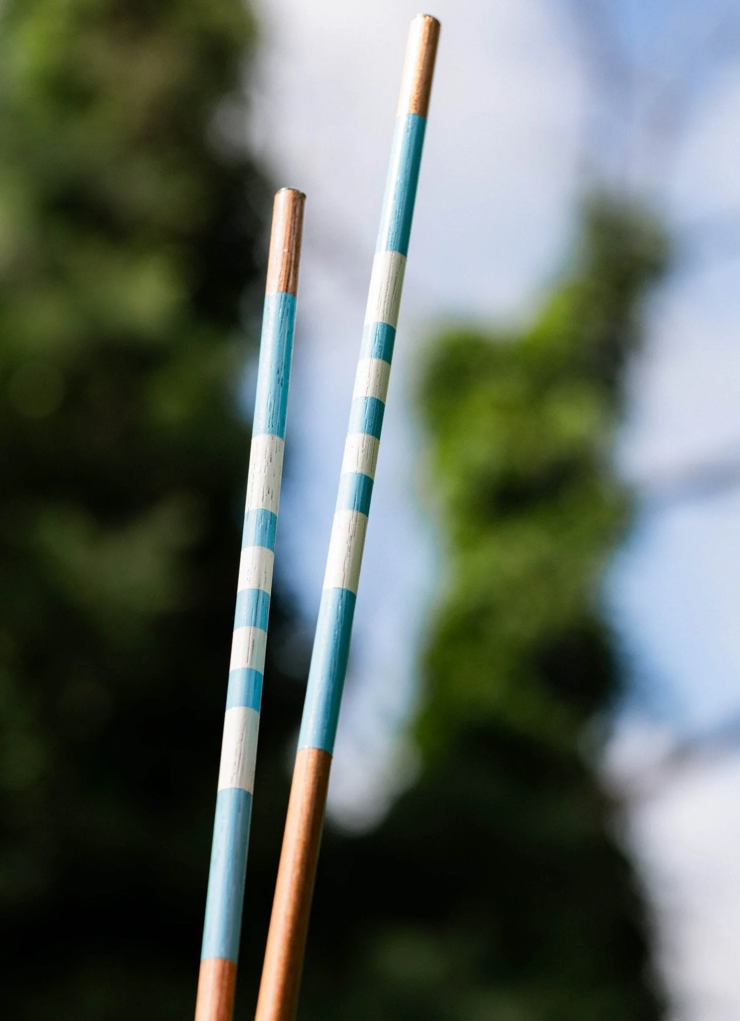 Carolina Blues Alignment Sticks - Image 3