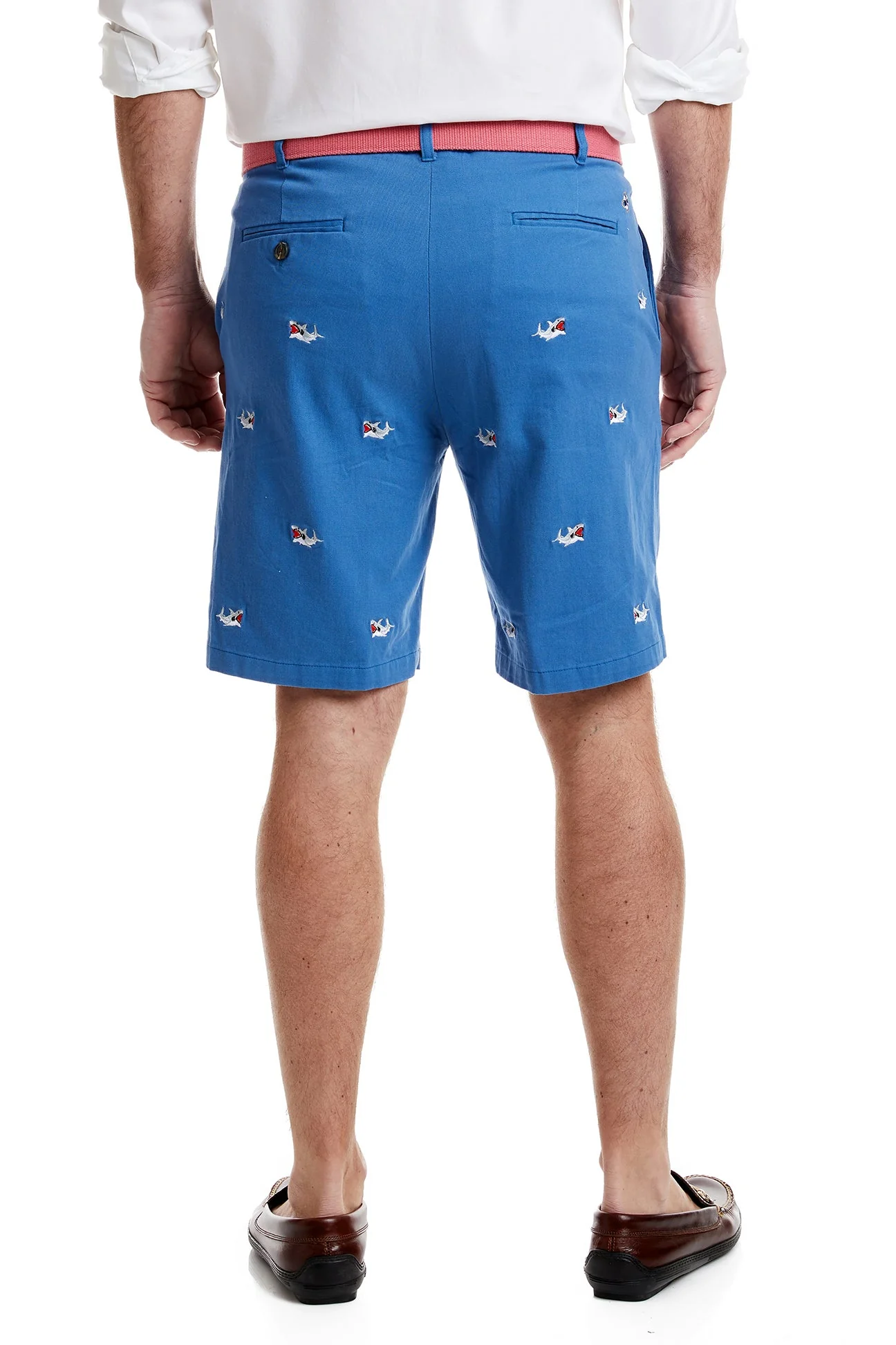 Cisco Short Deep Ocean Blue with Great White Shark - Image 3