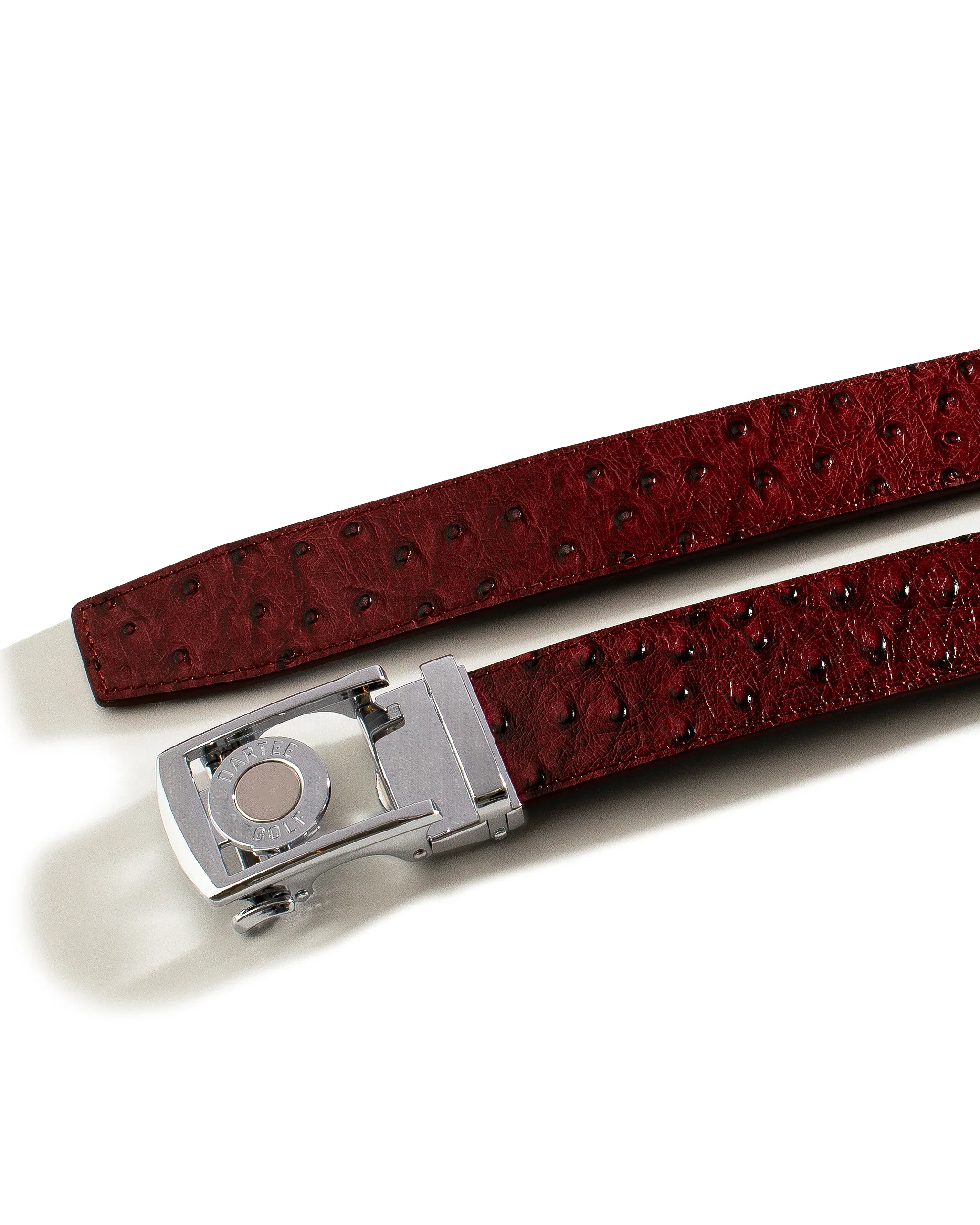 Crimson Dune - Image 2