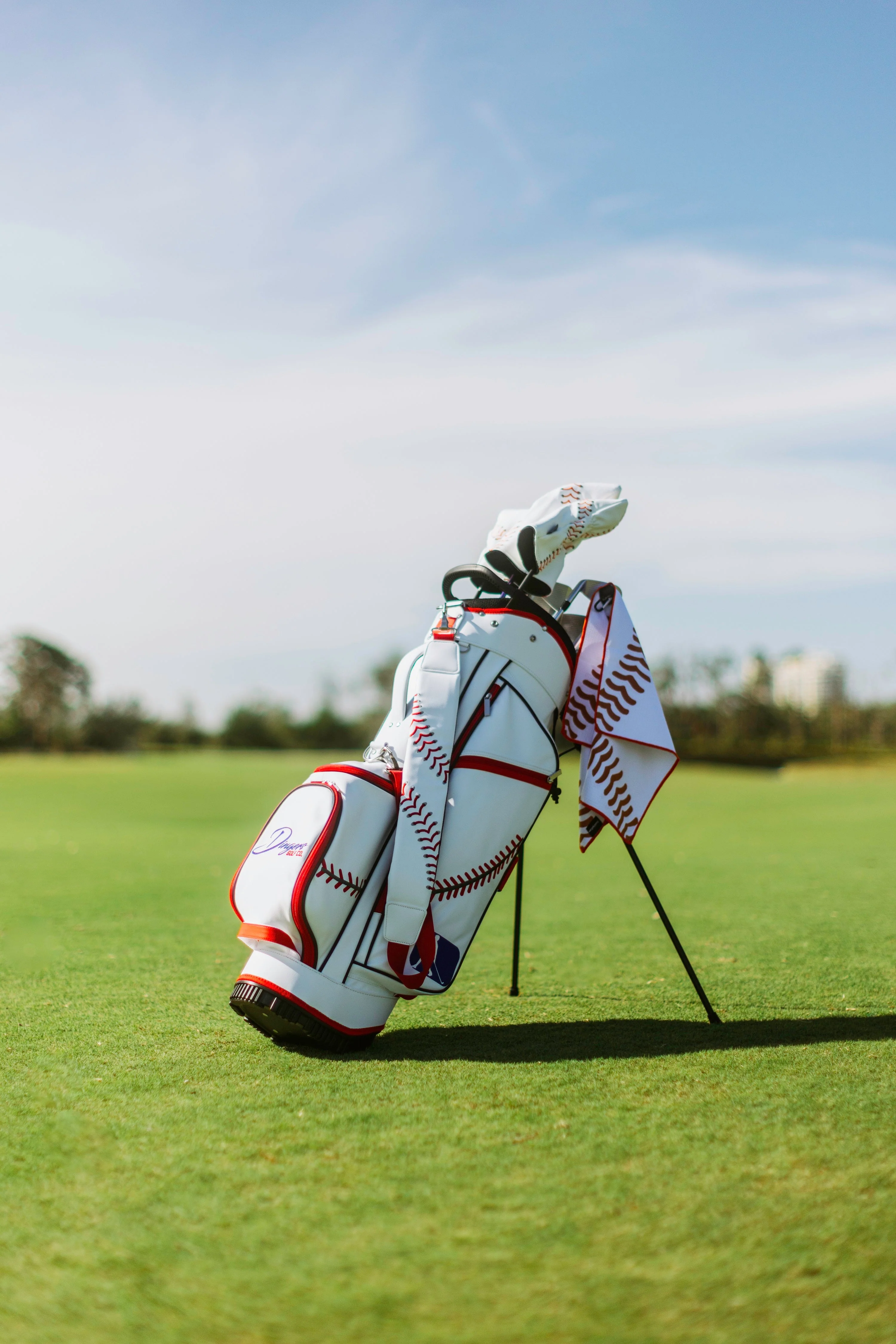 Dingers Golf Bag - Image 4