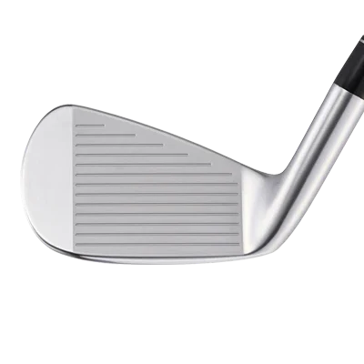 Epon AF-307 Custom Irons - Image 2
