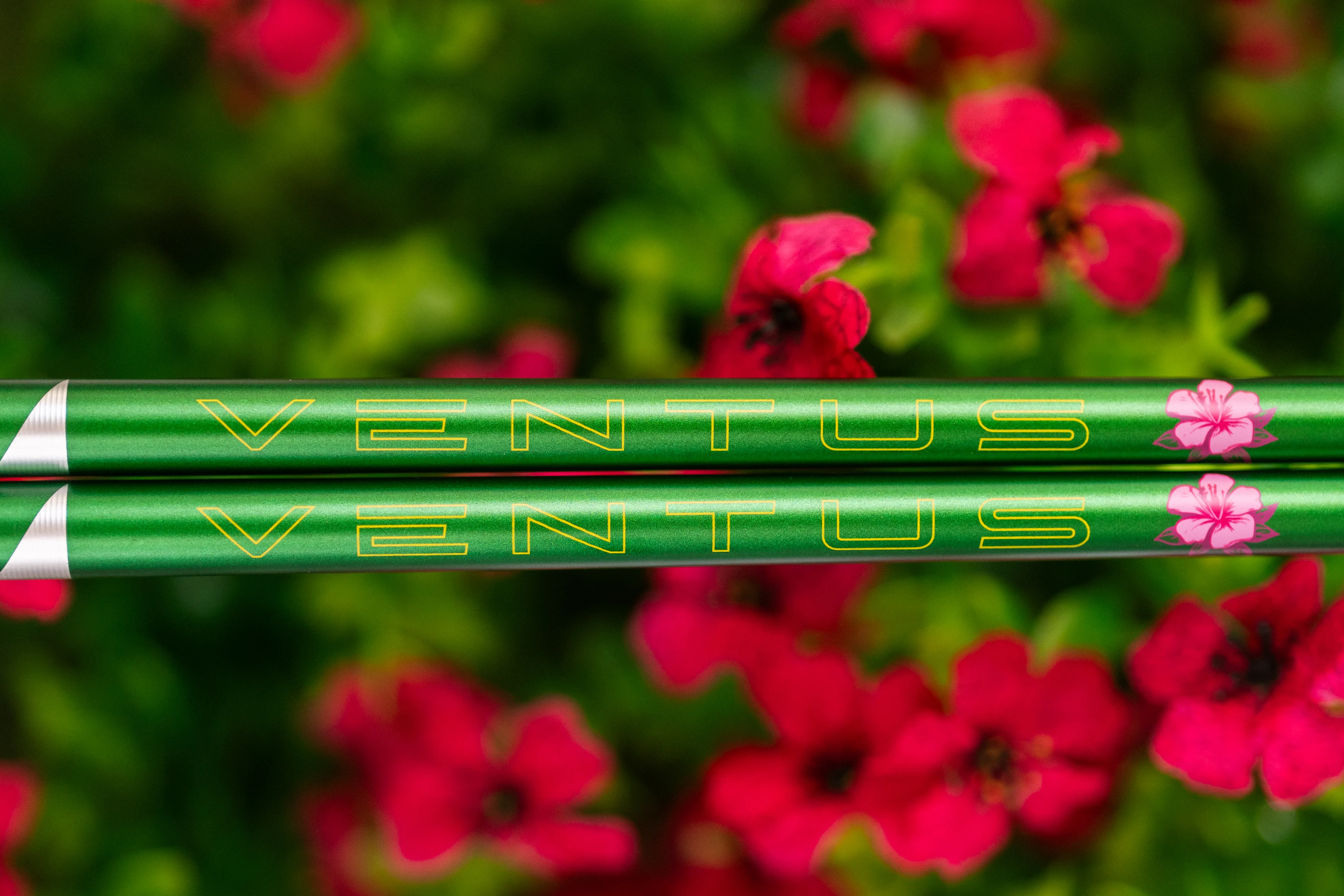 Fujikura Ventus Blue VeloCore + (Plus) Limited Edition (Masters) Wood Shaft - Image 3