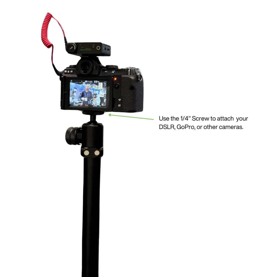 G-Bundle Three - GPOD Pauly P w/GPOD Base - Image 16