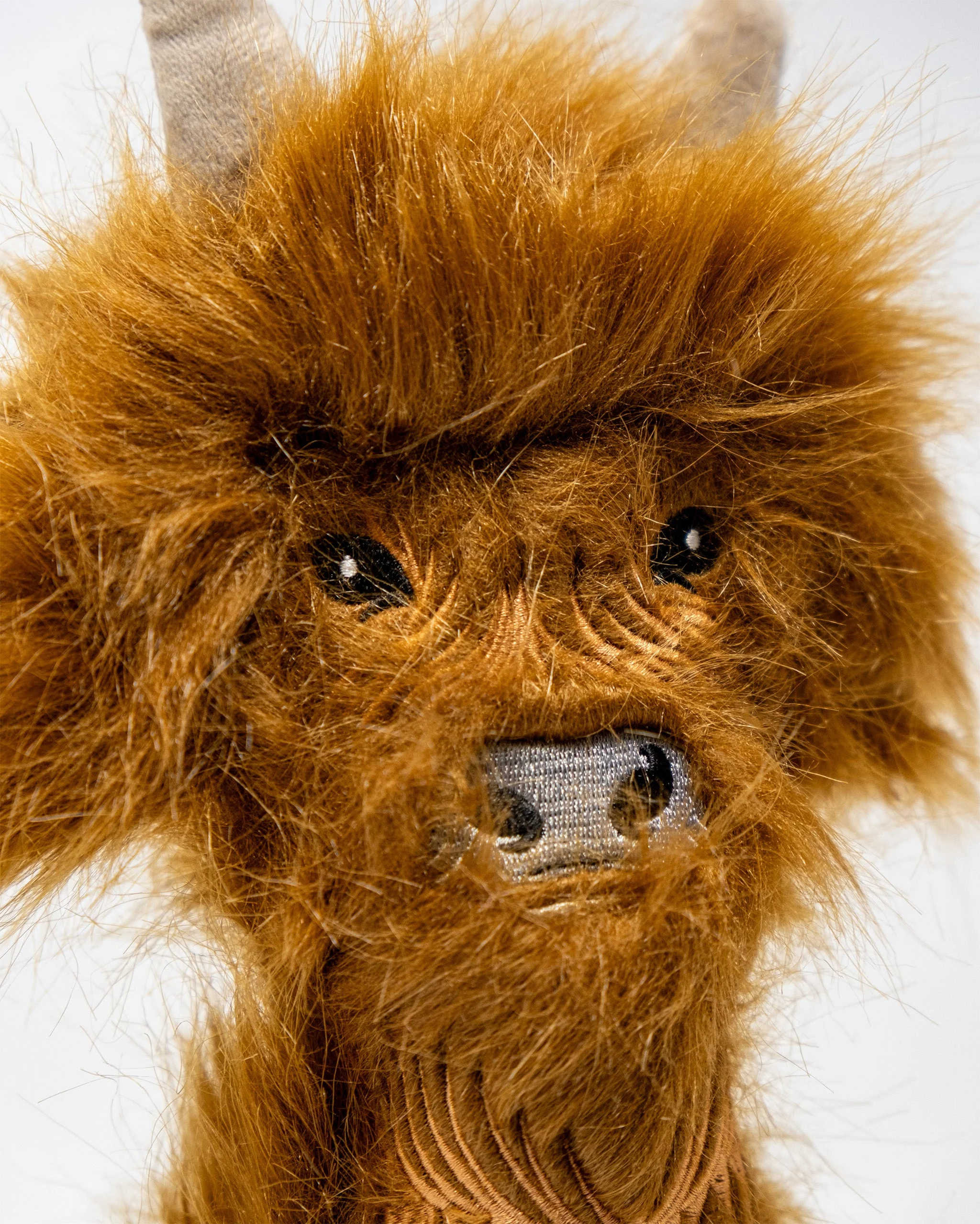 Highland Cow - Hybrid Cover - Image 12