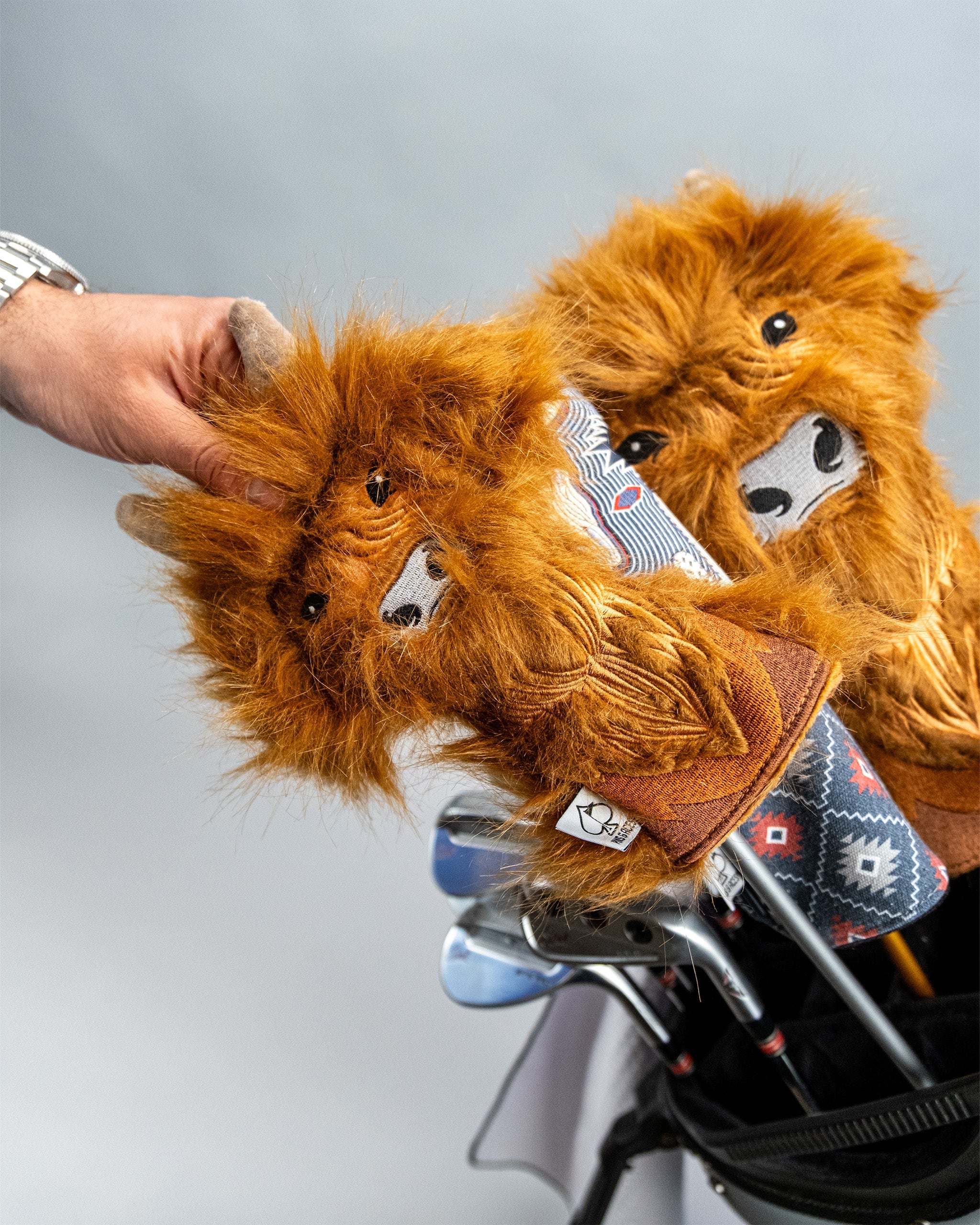 Highland Cow - Hybrid Cover - Image 15