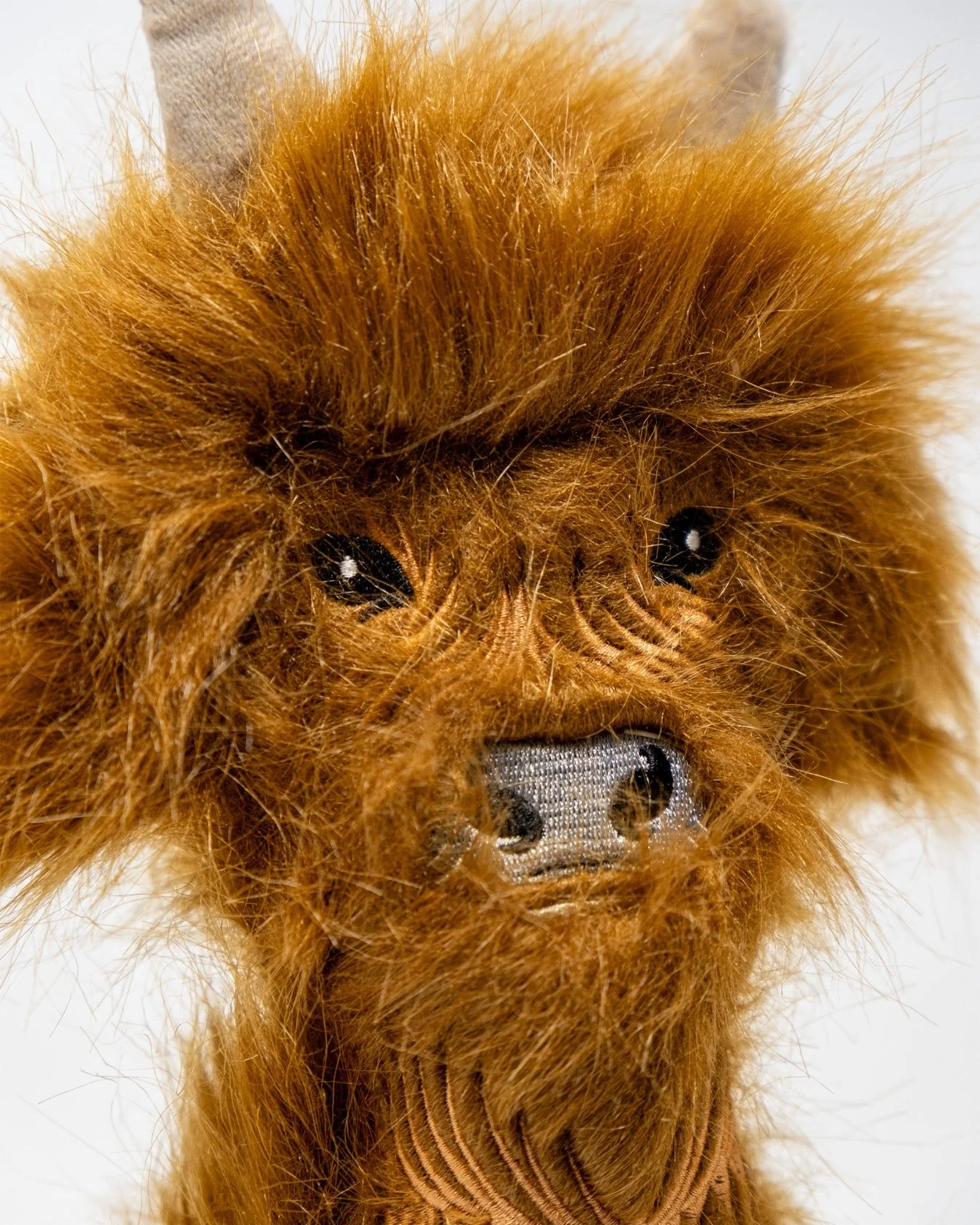 Highland Cow - Hybrid Cover - Image 4