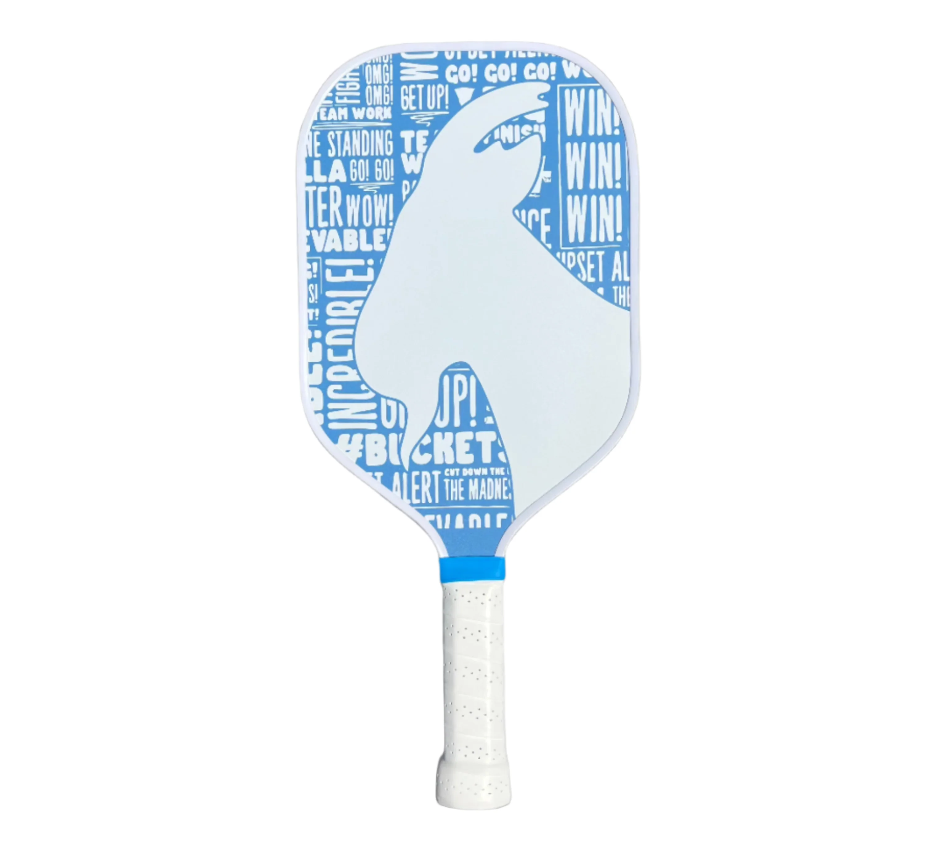 THE CINDERELLA STORY PICKLEBALL PADDLE