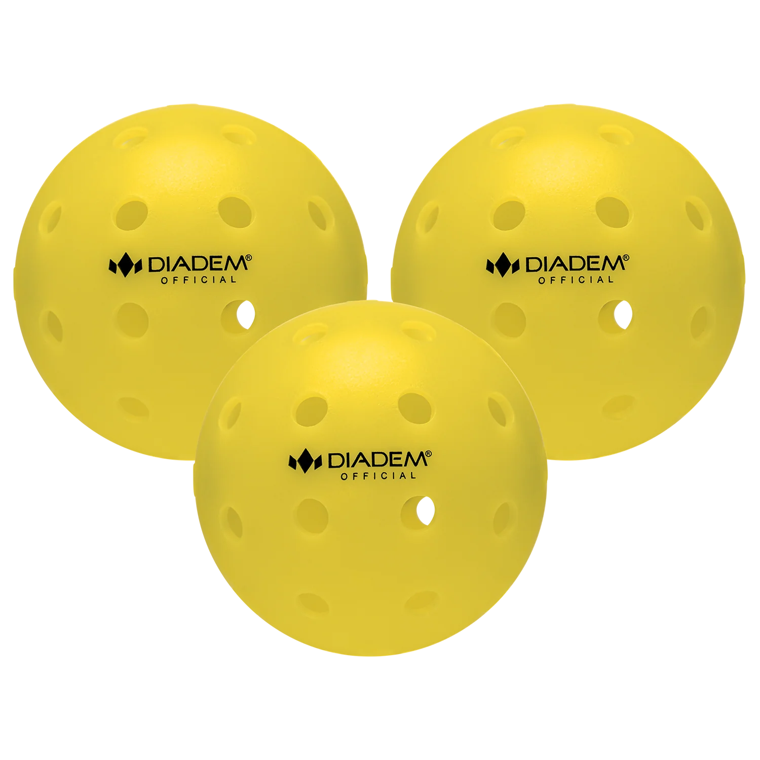The Official Pickleball - Image 15
