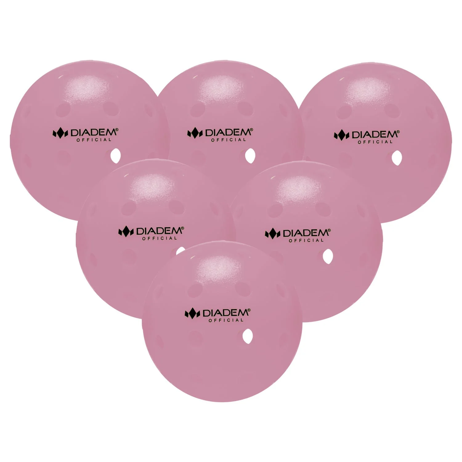 The Official Pickleball - Image 19