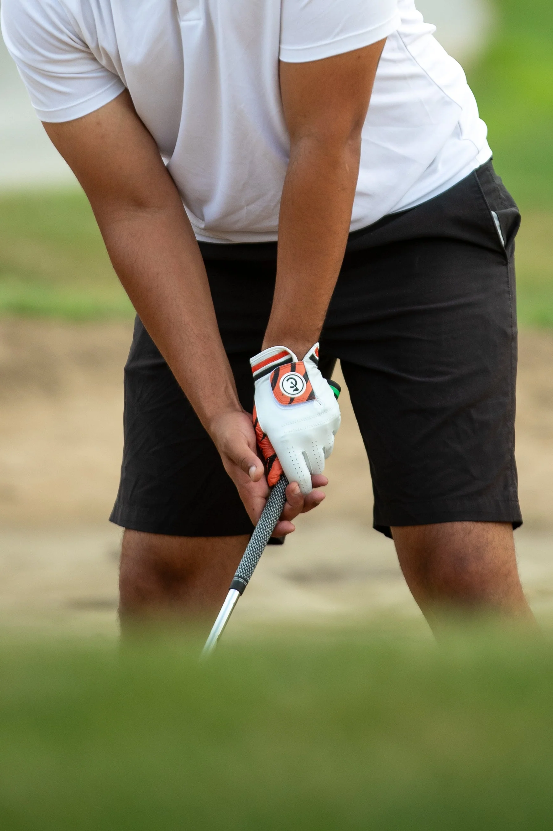 "Tiger" Golf Glove - Image 6