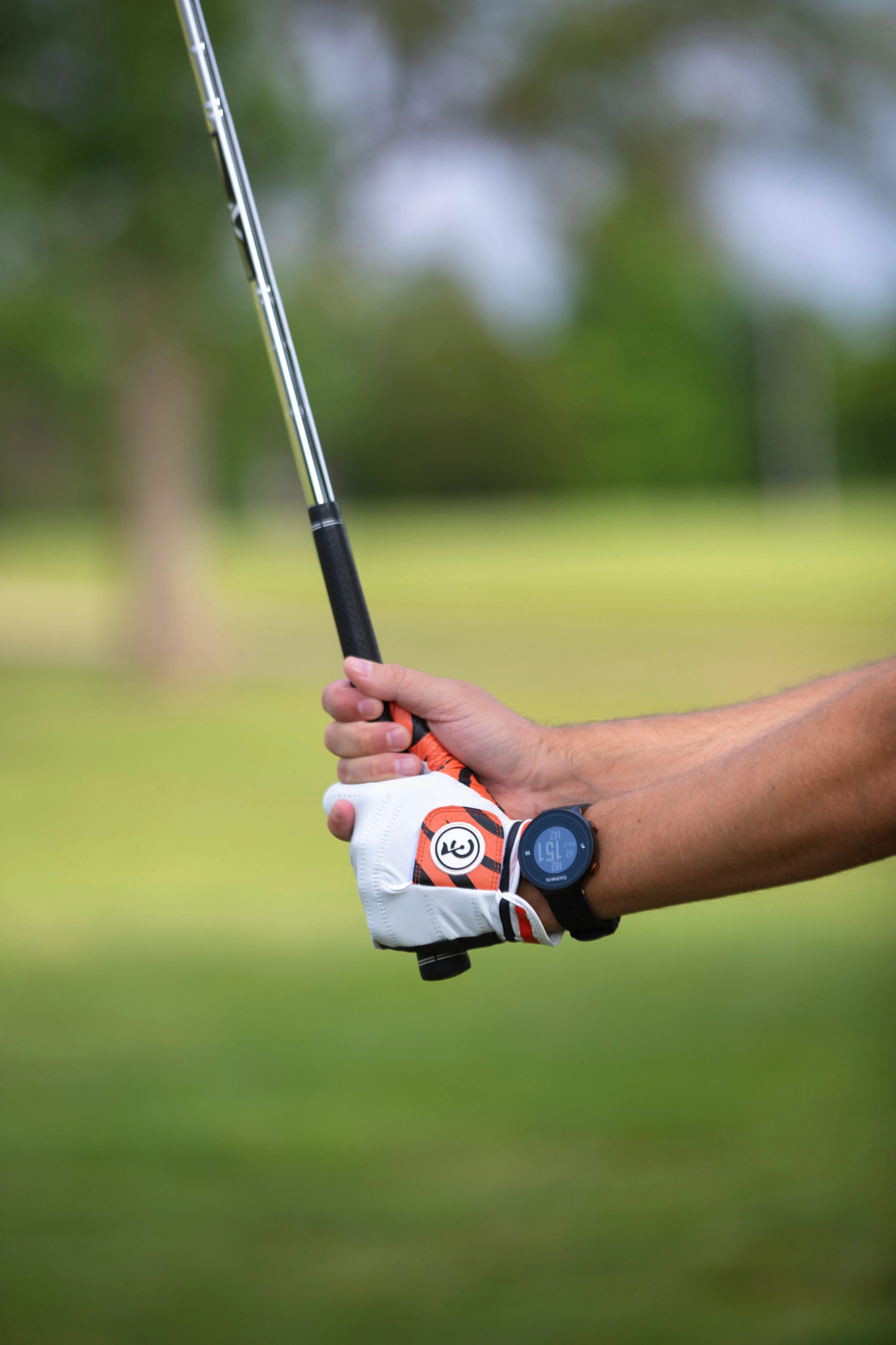"Tiger" Golf Glove - Image 8