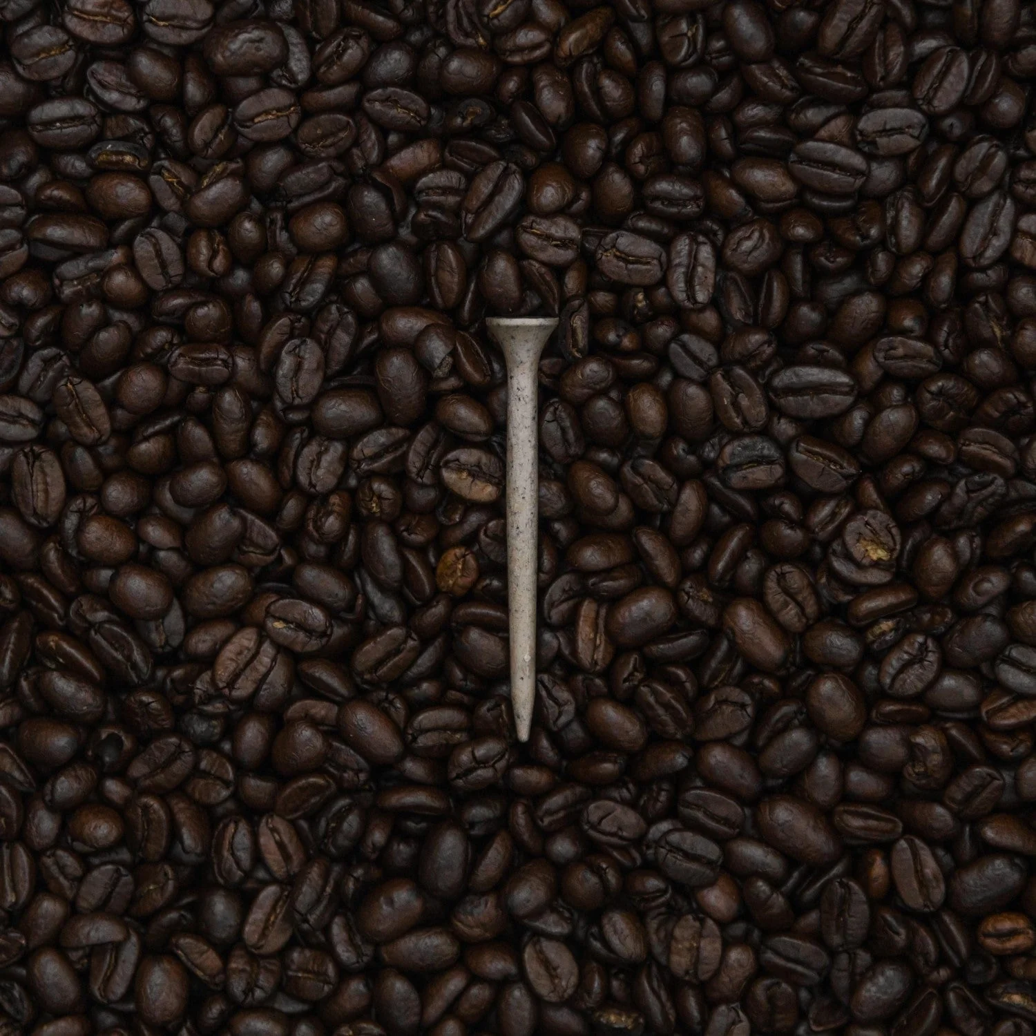 Tomo Coffee Tees (100)