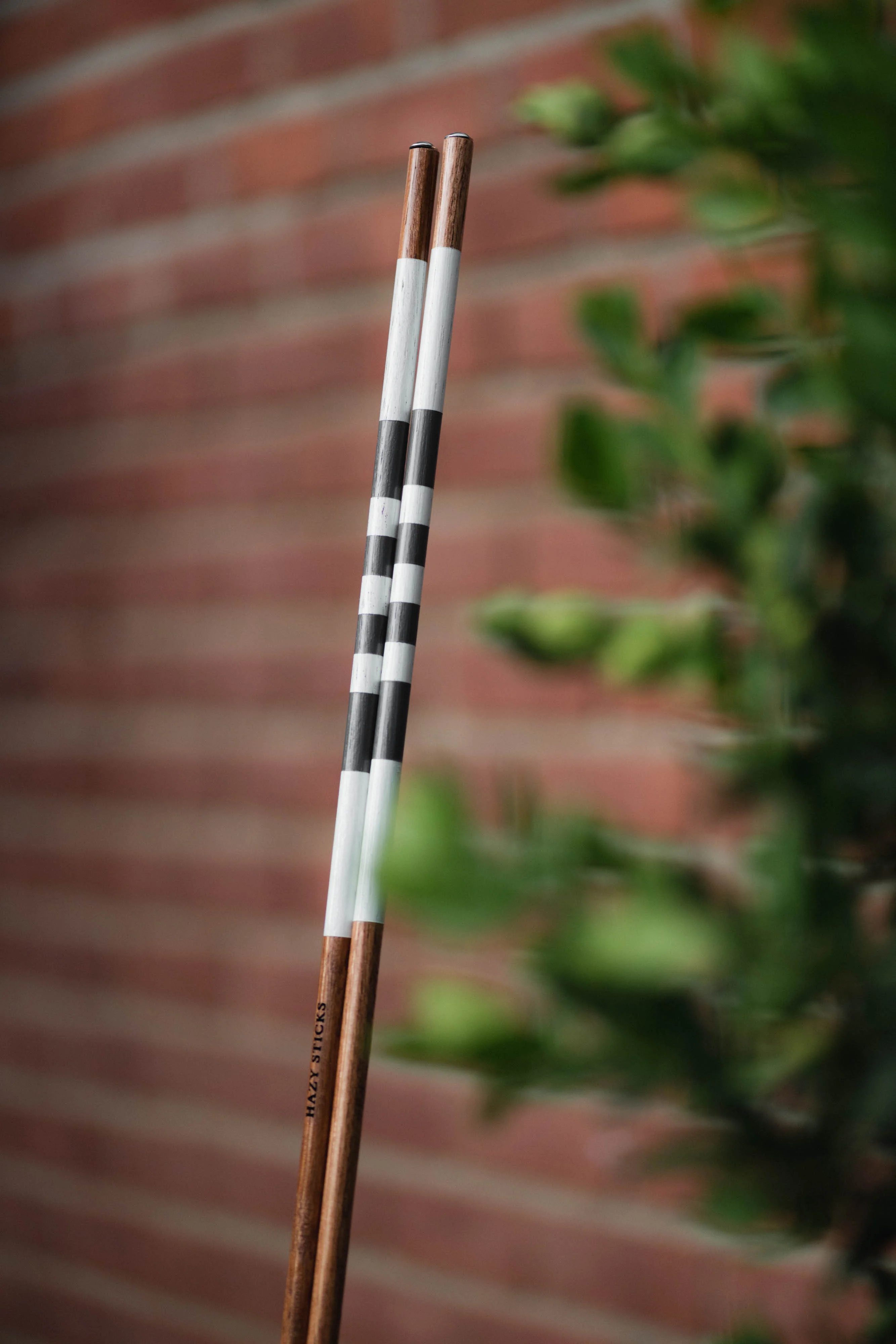 Wolf In Sheep's Clothing Alignment Sticks - Image 3